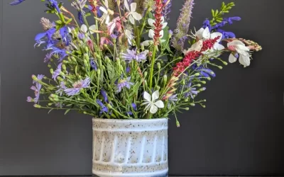 Spring 2025 news